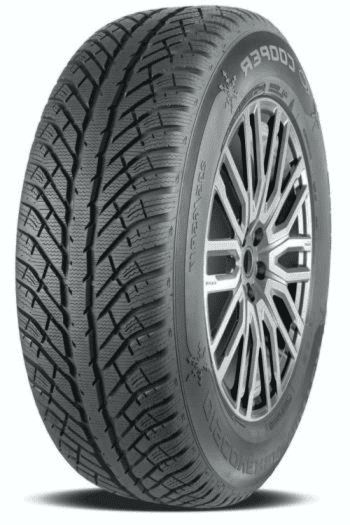 Személy gumiabroncsok nyári/téli/egészéves 205/55R16 91H Cooper Tires DISCOVERER WINTER