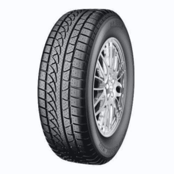 Személy gumiabroncsok nyári/téli/egészéves 205/55R16 91H Petlas SNOWMASTER W651