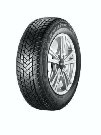Személy gumiabroncsok nyári/téli/egészéves 205/55R16 91T GT Radial WINTER PRO 2