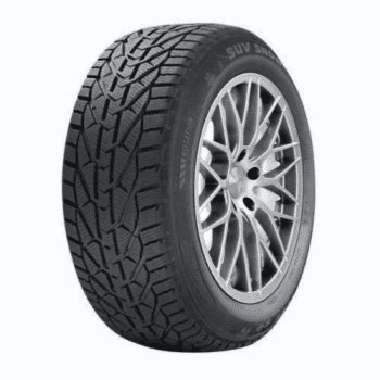 Személy gumiabroncsok nyári/téli/egészéves 205/60R16 92H Riken SNOW