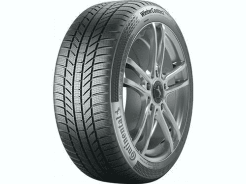 Személy gumiabroncsok nyári/téli/egészéves 225/55R19 99V Continental WINTER CONTACT TS 870 P