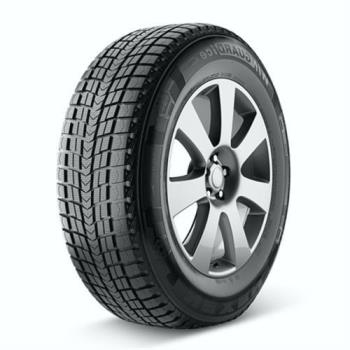 Roadstone WINGUARD ICE SUV 225/60 R18 100T