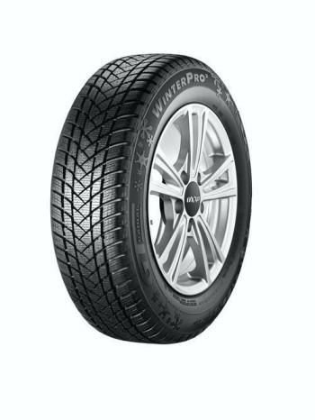 GT Radial WINTER PRO 2 205/55 R16 91H