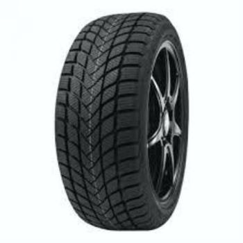 Delinte WINTER WD6 205/55 R17 95H